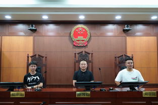 司法公开新窗口 第111次公众开放日,青岛联信商务咨询哈尔滨分公司走进南岗区法院